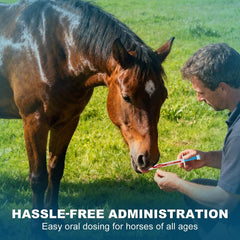 Dosage cheval 1250 livres de QZQAB pour une administration guidée.