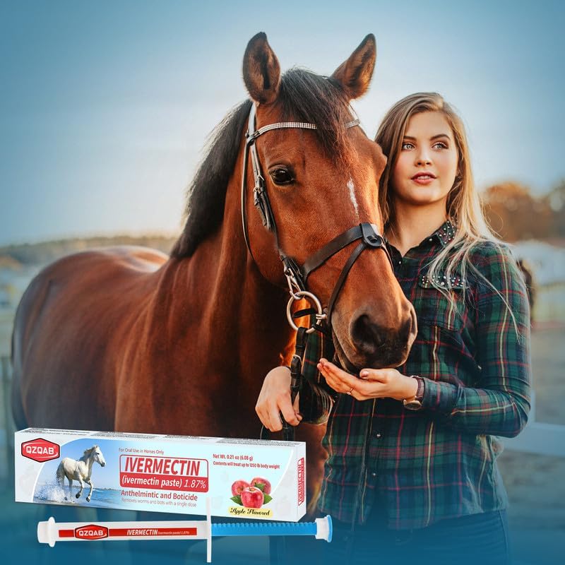 Seringue-doseur QZQAB pour cheval avec graduations jusqu'à 250 livres.