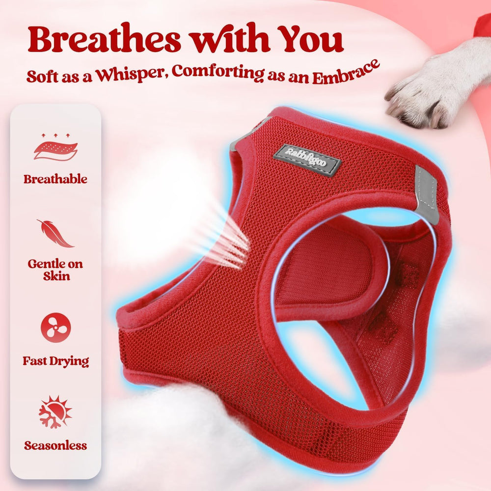 Clip anti-emmêlement sur laisse Rabbitgoo pour des promenades fluides.