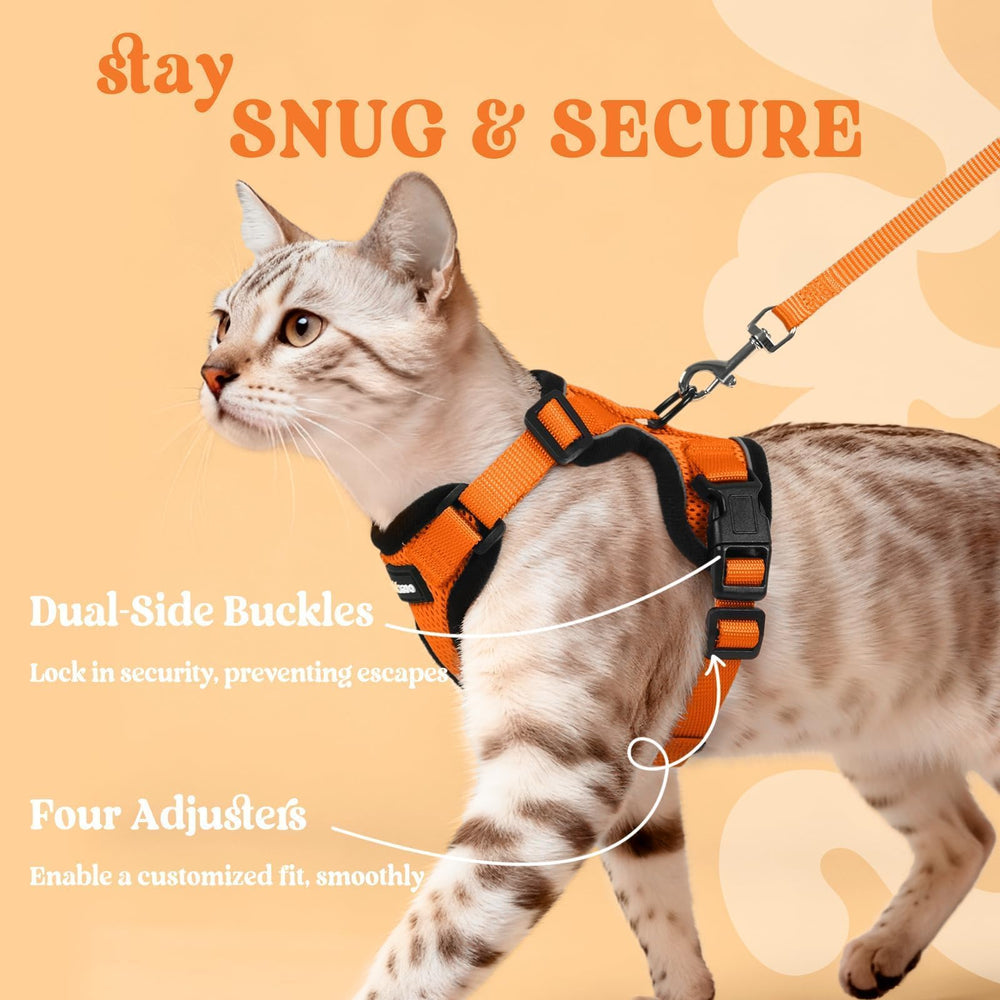 Fermetures doubles anti-évasion Rabbitgoo sécurité renforcée et ajustement sûr.