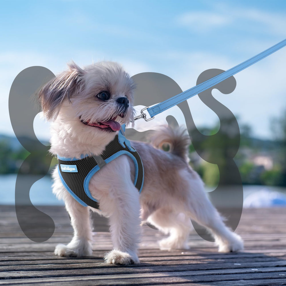 Guide des tailles Rabbitgoo pour harnais de petit chien