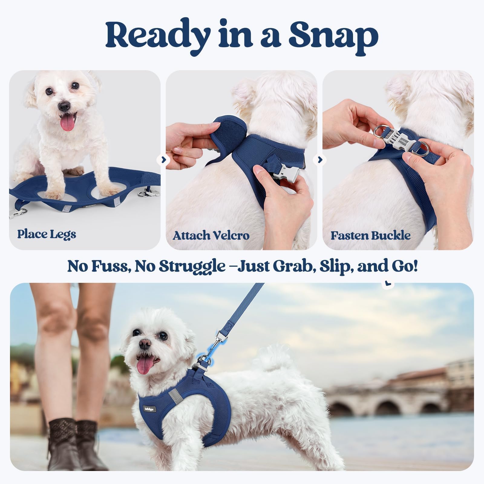 Guide tailles L adapté pour petits et moyens chiens.