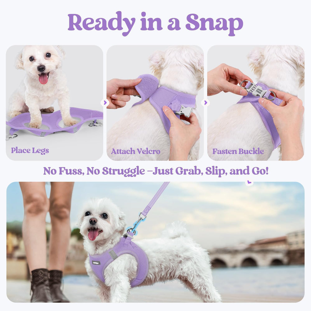 Guide des tailles XS clair pour harnais rabbitgoo chien.