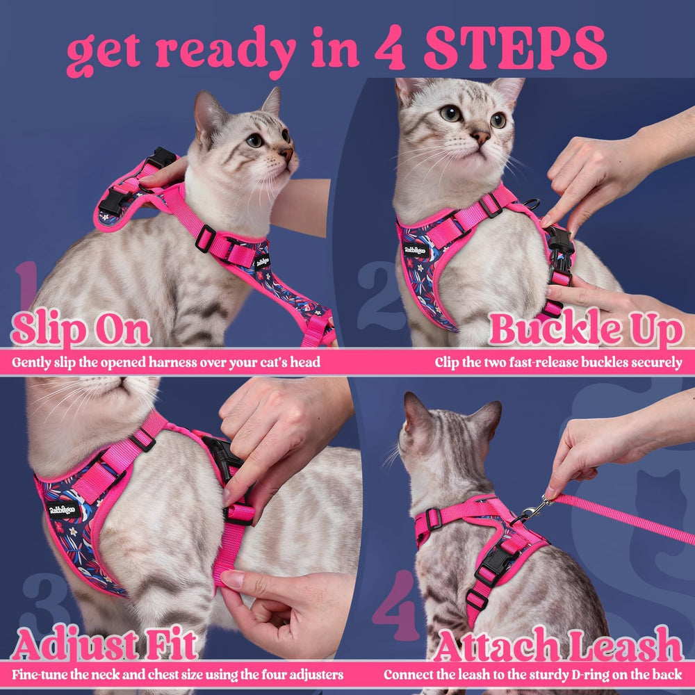 Couleurs vives Rabbitgoo pour personnaliser le look de votre chat.
