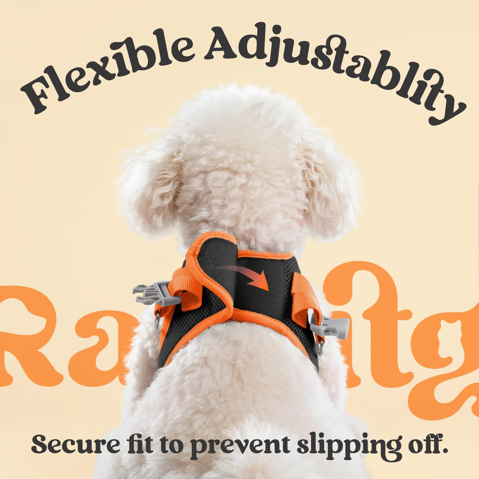 Boucle de sécurité durable sur harnais rabbitgoo pour chien petit.