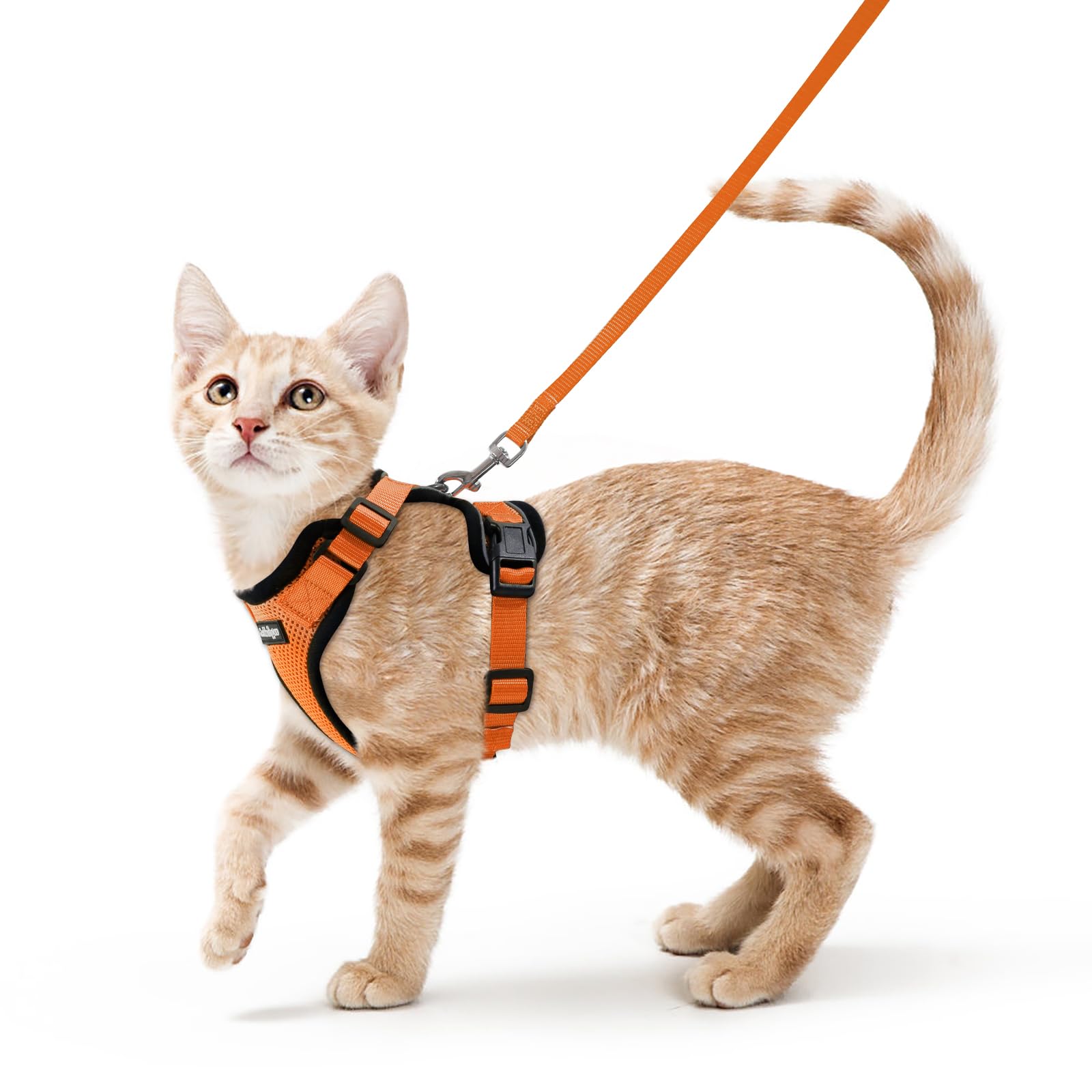 Harnais Rabbitgoo pour chat avec maille légère, confort et ventilation visibles.