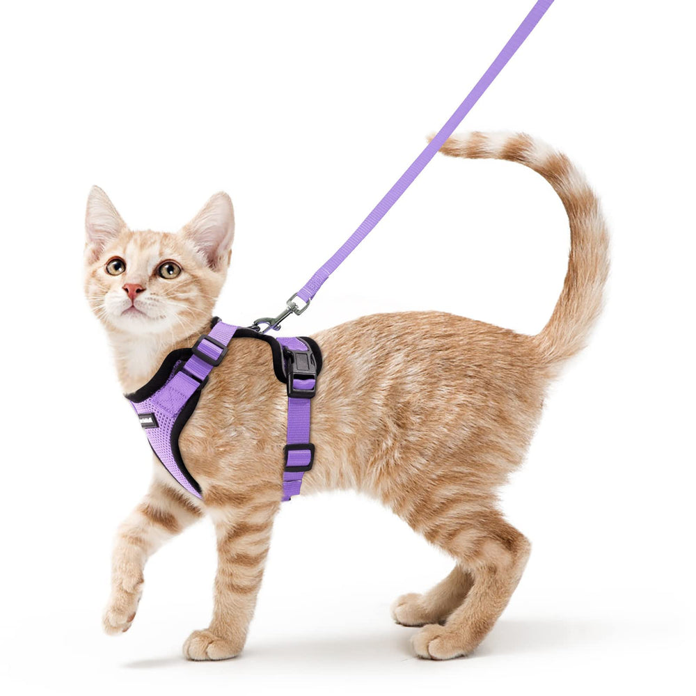 Harnais rabbitgoo pour chat léger en maille aérée, confort optimal.