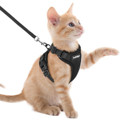 Harnais Rabbitgoo en mesh aéré pour le confort chat