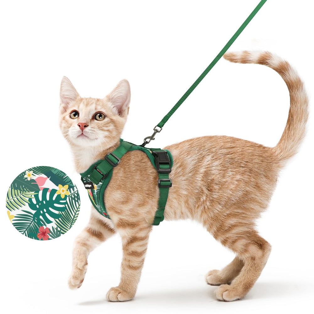 Harnais Rabbitgoo anti-évasion en maille respirante offrant plus de confort pour le chat.