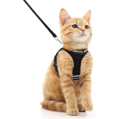 rabbitgoo harnais-chat anti-évasion en maille respirante pour promenades sécurisées