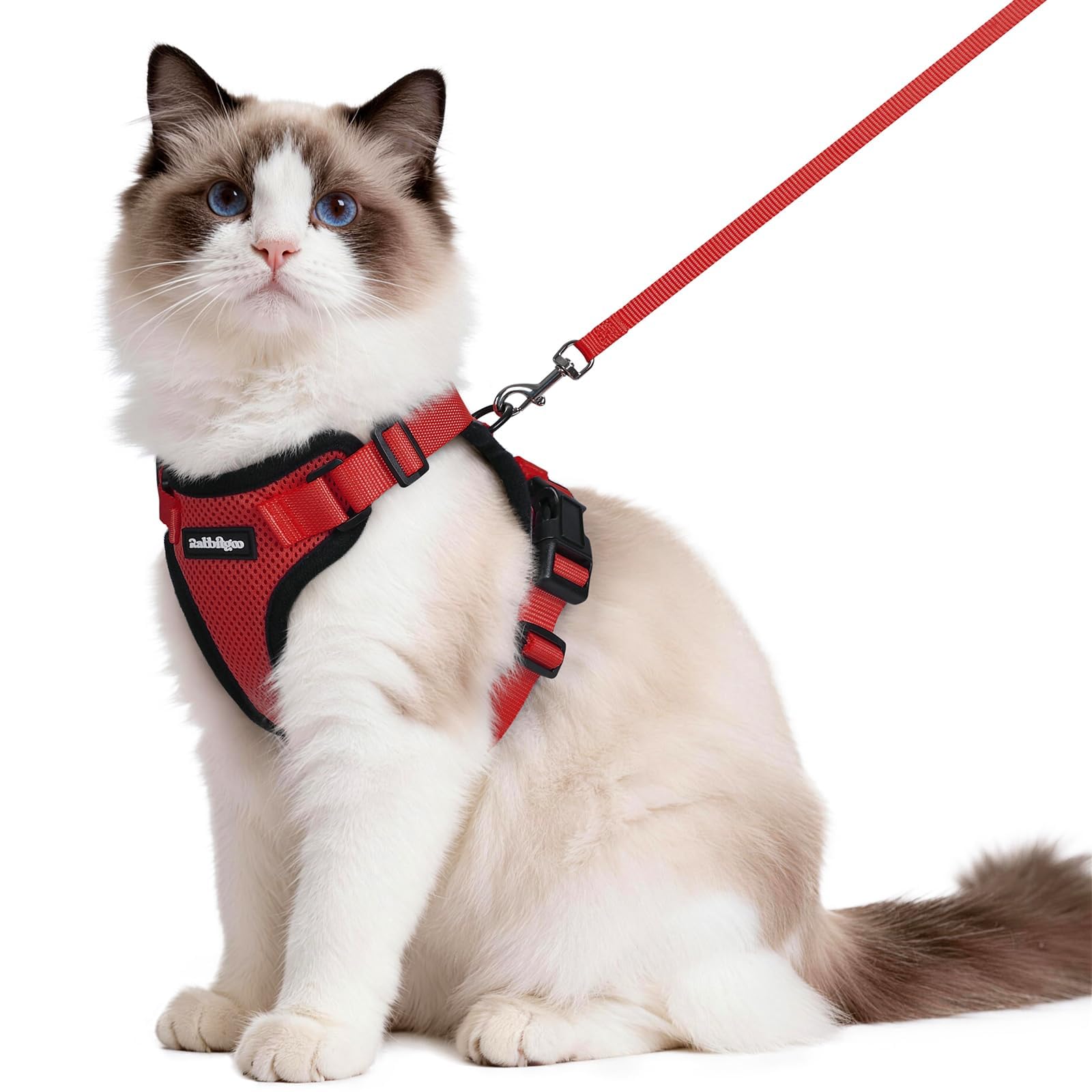 Rabbitgoo harnais chat anti-fuite avec anneau dorsal pour un contrôle sûr lors des promenades