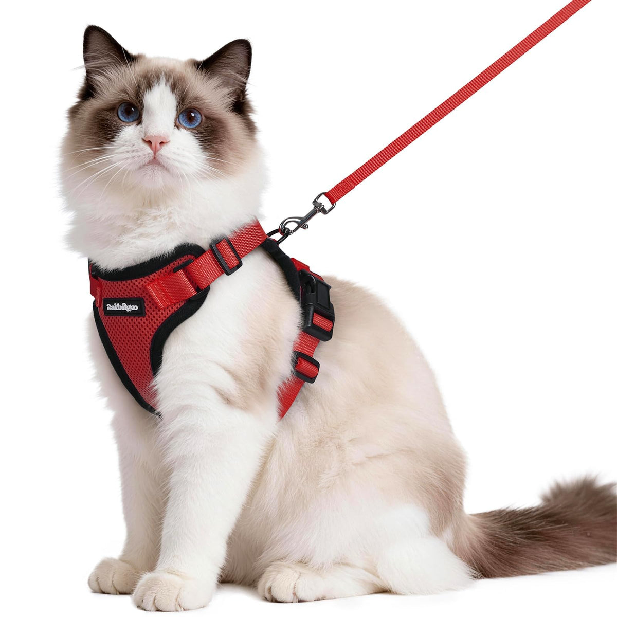 Rabbitgoo harnais chat anti-fuite avec anneau dorsal pour un contrôle sûr lors des promenades