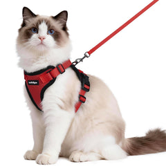Rabbitgoo harnais chat anti-fuite avec anneau dorsal pour un contrôle sûr lors des promenades