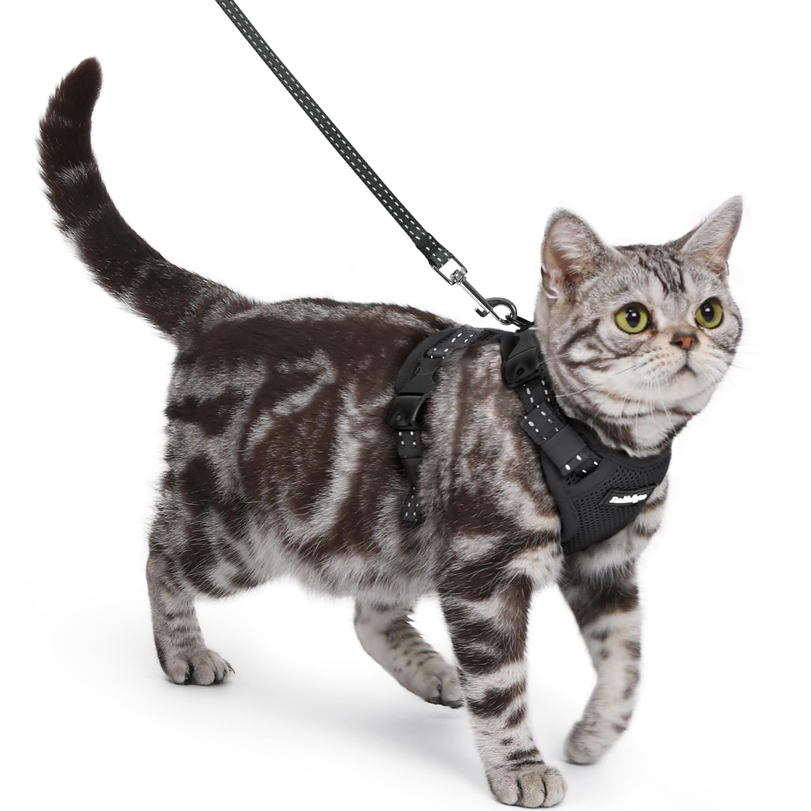 Harnais Rabbitgoo pour chat anti-fuite pour sorties sécurisées.