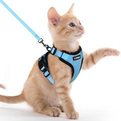 Rabbitgoo harnais chat anti-fuite pour éviter les échappées pendant les promenades.