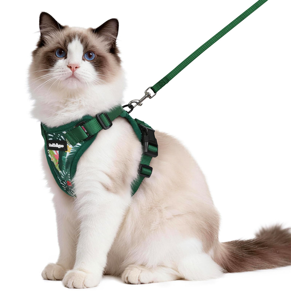 Harnais Rabbitgoo anti-sortie pour chat, sécurité renforcée pour les sorties