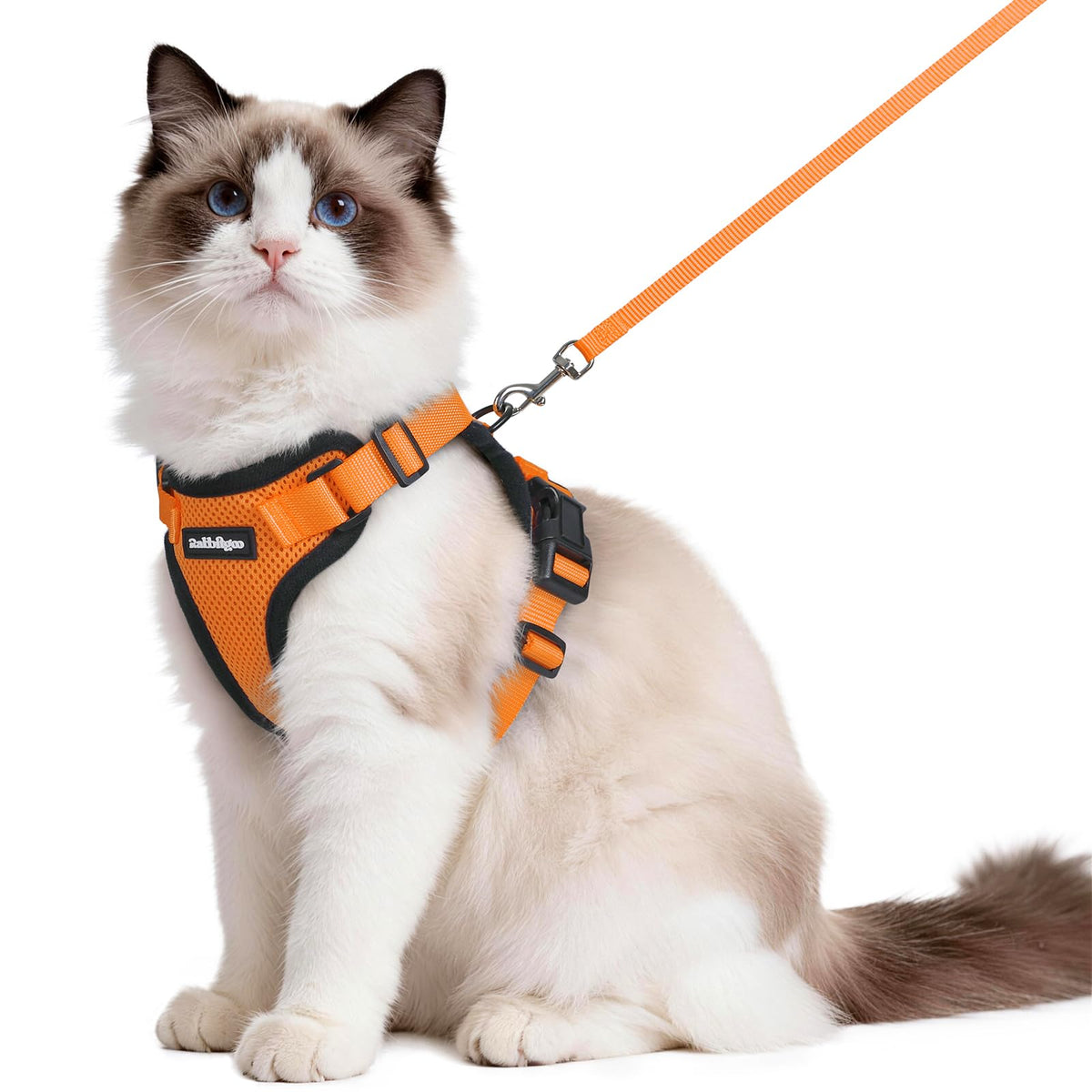 Harnais Rabbitgoo anti-sortie pour chat, confortable et sûr lors des sorties