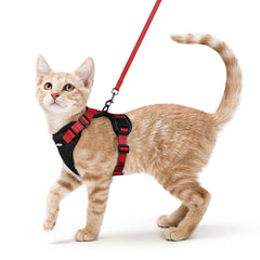 Harnais Rabbitgoo chat mesh aérien pour port frais lors des promenades