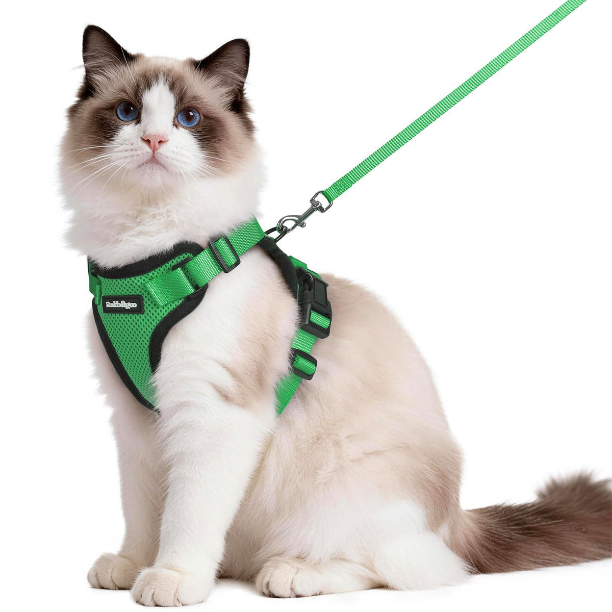 Harnais Rabbitgoo confort respirant pour les promenades des chats.