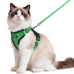 Harnais Rabbitgoo confort respirant pour les promenades des chats.