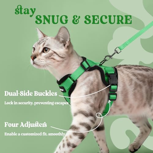 Rabbitgoo harnais chat design veste léger et confortable pour le torse