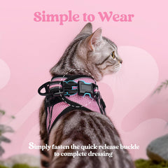 Harnais Rabbitgoo design gilet anti fuite pour petit chat