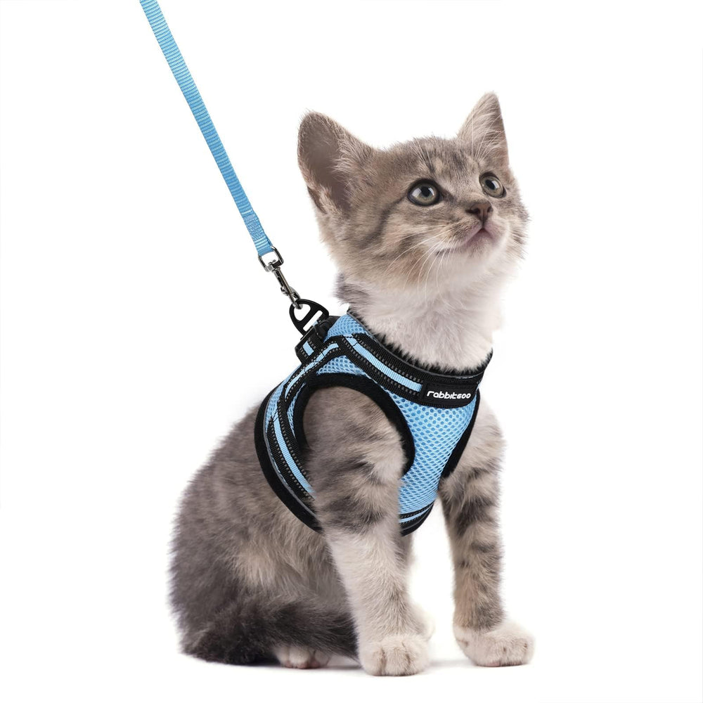 Harnais Rabbitgoo avec rembourrage air-mesh doux pour le confort du chat.