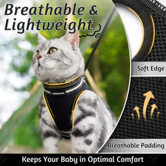 rabbitgoo harnais-chat doublure douce en maille respirante pour confort du chat