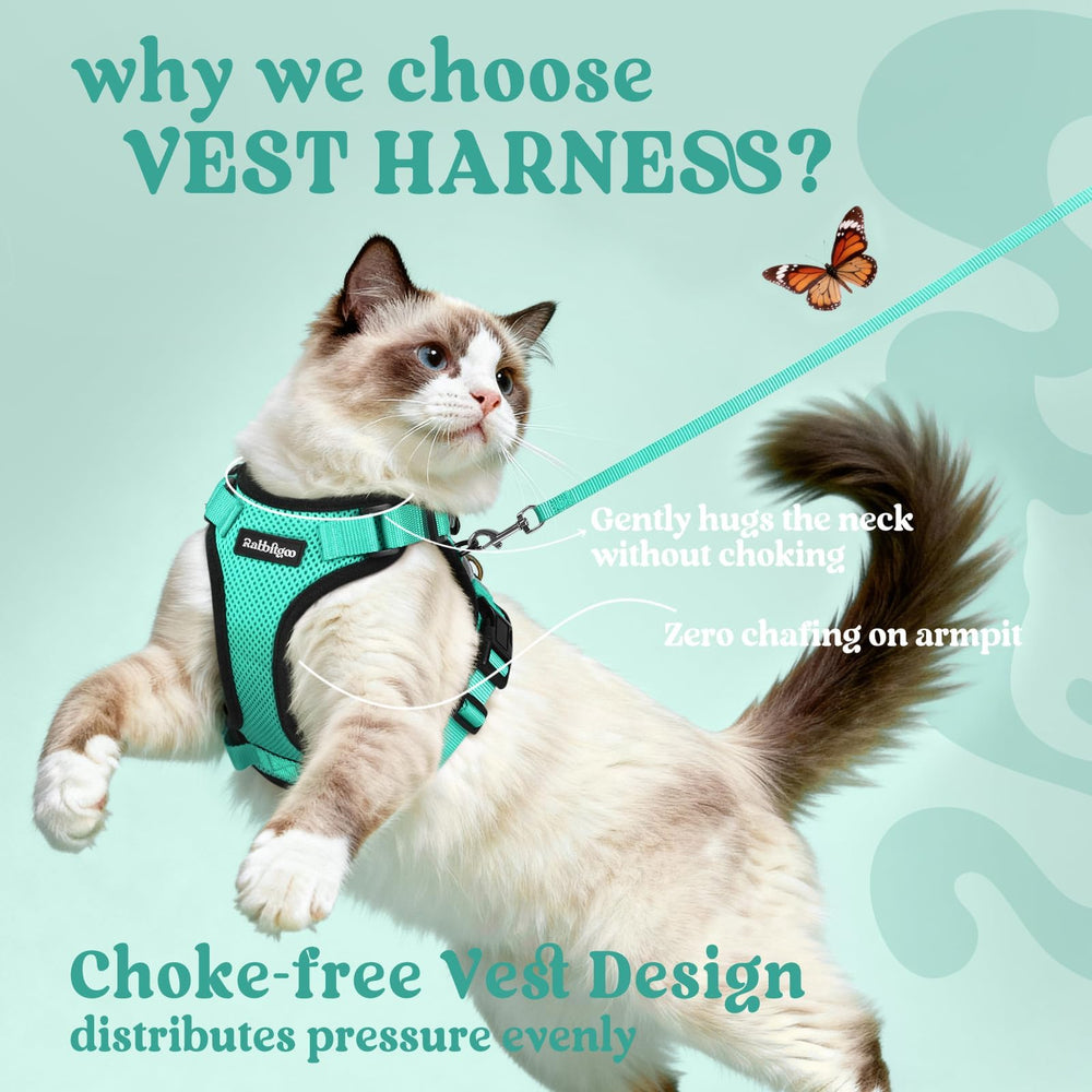 Harnais chat émeraude en mesh aérien Rabbitgoo, respirant et doux.