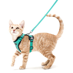 Harnais Rabbitgoo pour chat émeraude XS, ajustement confortable et sûr
