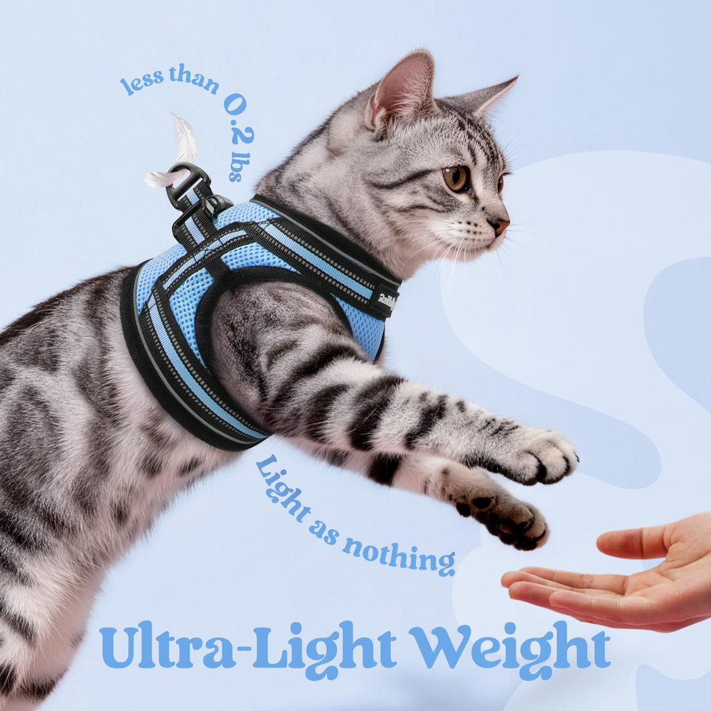 Fermeture velcro Rabbitgoo assurant un maintien fiable et simple.