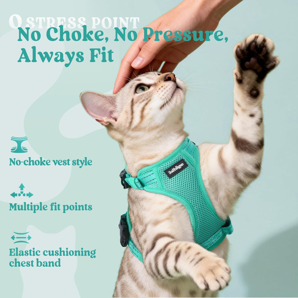 Harnais Rabbitgoo - maille respirante pour garder votre chat au frais