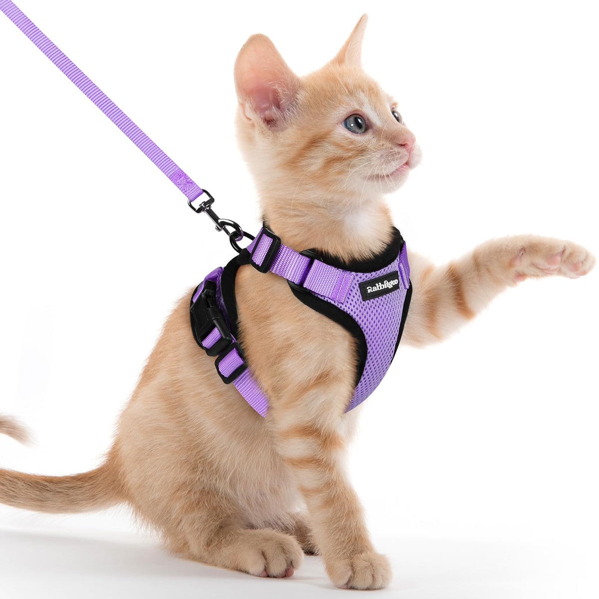 Harnais rabbitgoo pour chat en mesh respirant pour promenades confortables.
