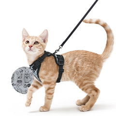 Harnais Rabbitgoo pour chat en mesh respirant, promenade confortable.