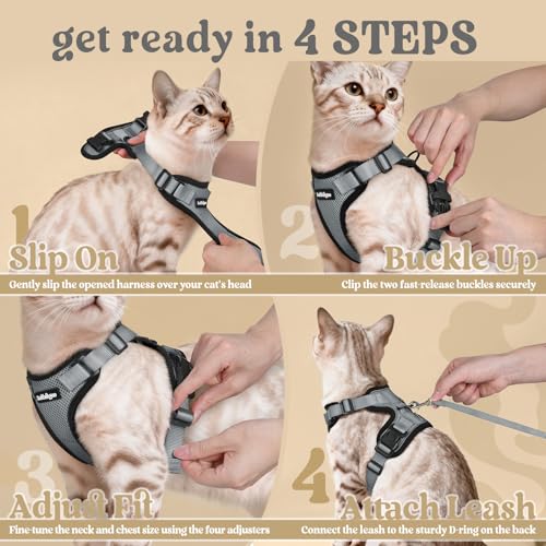 Mise en place facile du harnais Rabbitgoo pour chat, usage intérieur et extérieur.