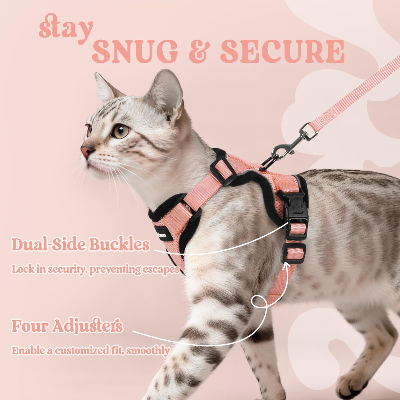 Mise en place rapide Rabbitgoo, enveloppe le corps du chat sans contrainte.