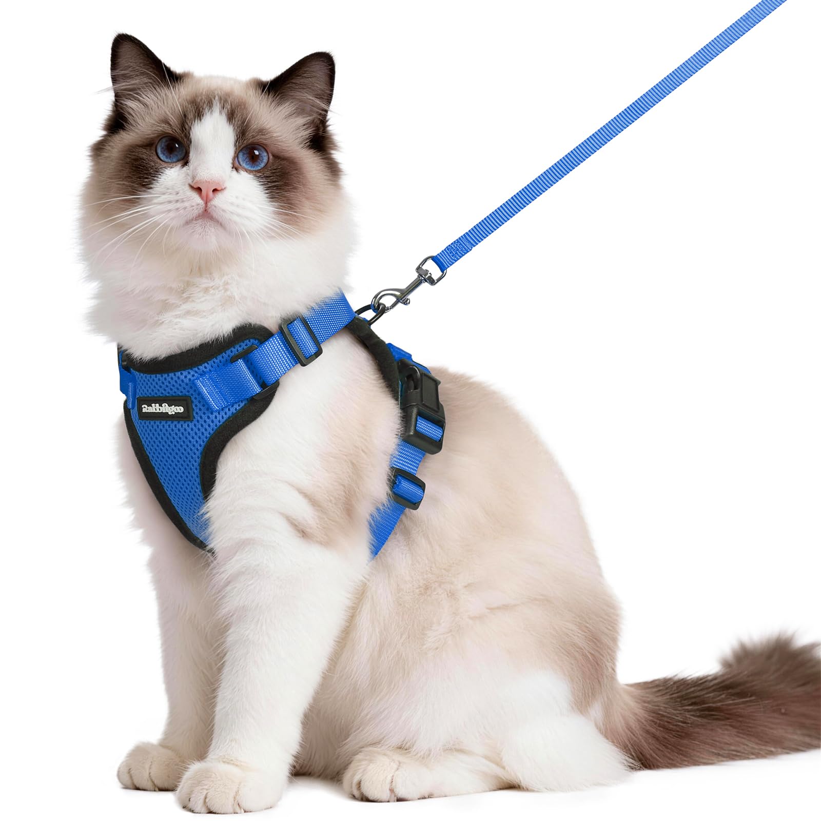 Harnais Rabbitgoo pour chat navy vu de face, confort et sécurité.