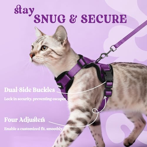 Quatre-bandes-ajustables rabbitgoo, ajustement personnalisé pour un confort optimal.
