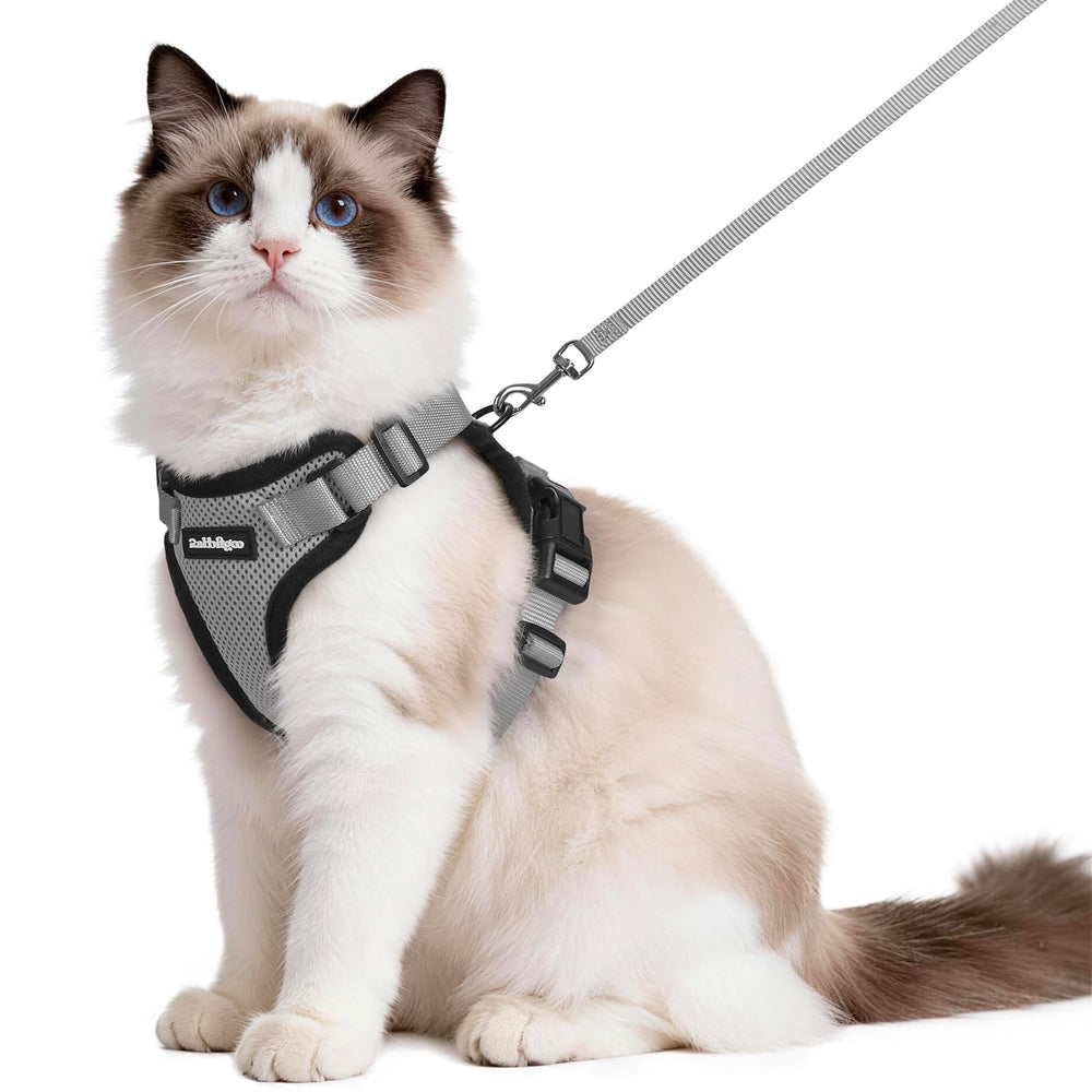 Harnais Rabbitgoo respirant pour chat, confort lors des promenades.