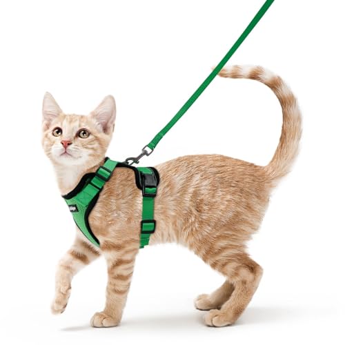 Rabbitgoo harnais chat respirant en mesh pour balades confortables