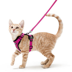 Harnais Rabbitgoo pour chat, rose, veste confortable pour balades en sécurité.