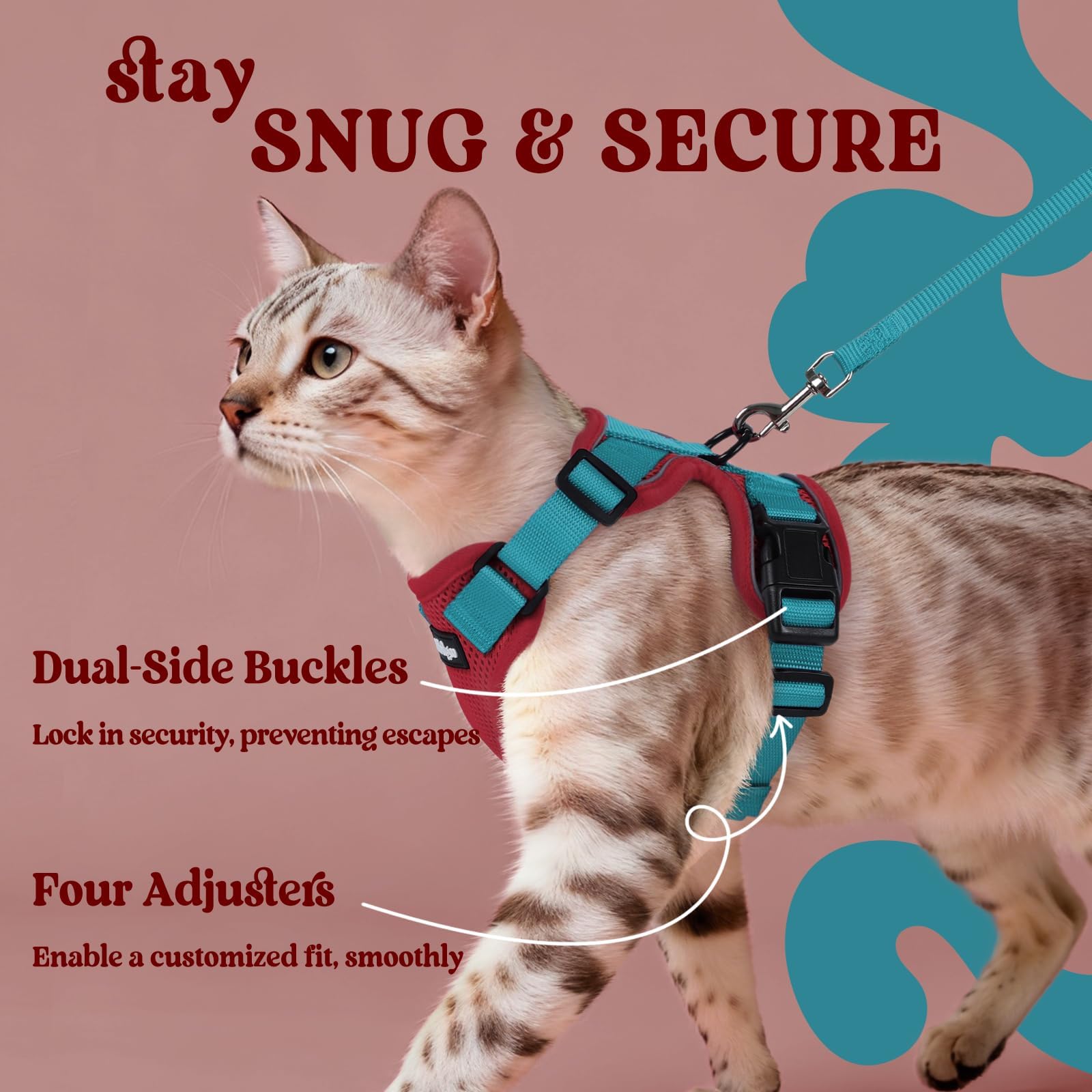 Sangles reglables Rabbitgoo, ajustement personnalisé pour chats.