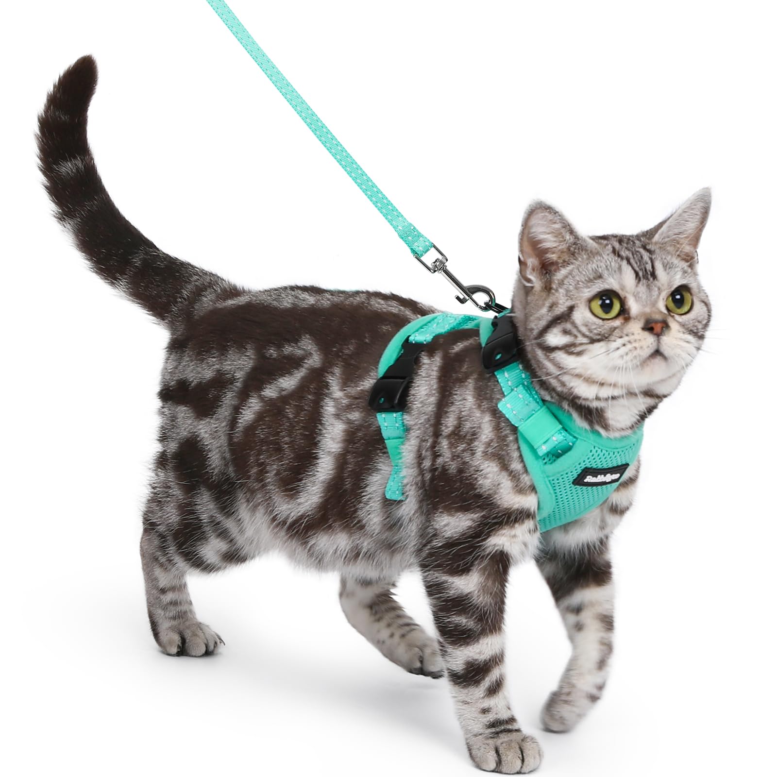 Harnais Rabbitg o o - sécurité anti-fuite pour promenades en toute tranquillité