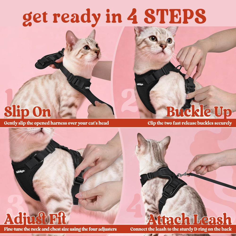 Taille universelle du harnais Rabbitgoo pour la plupart des chats