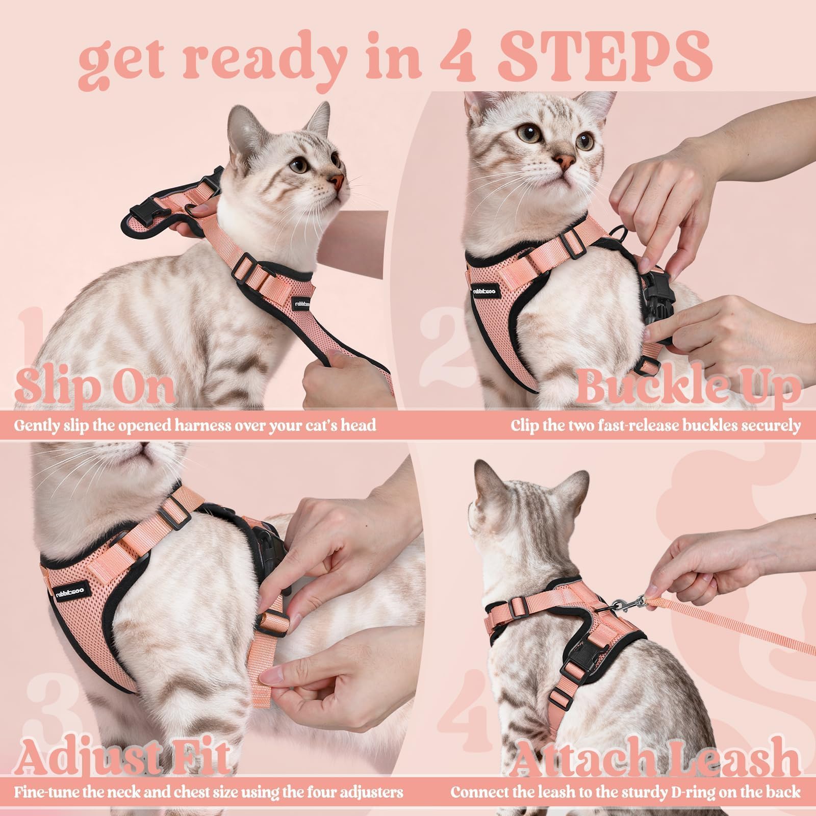 Rabbitgoo harnais-chat-usage-domestique convient pour usage intérieur et sorties.