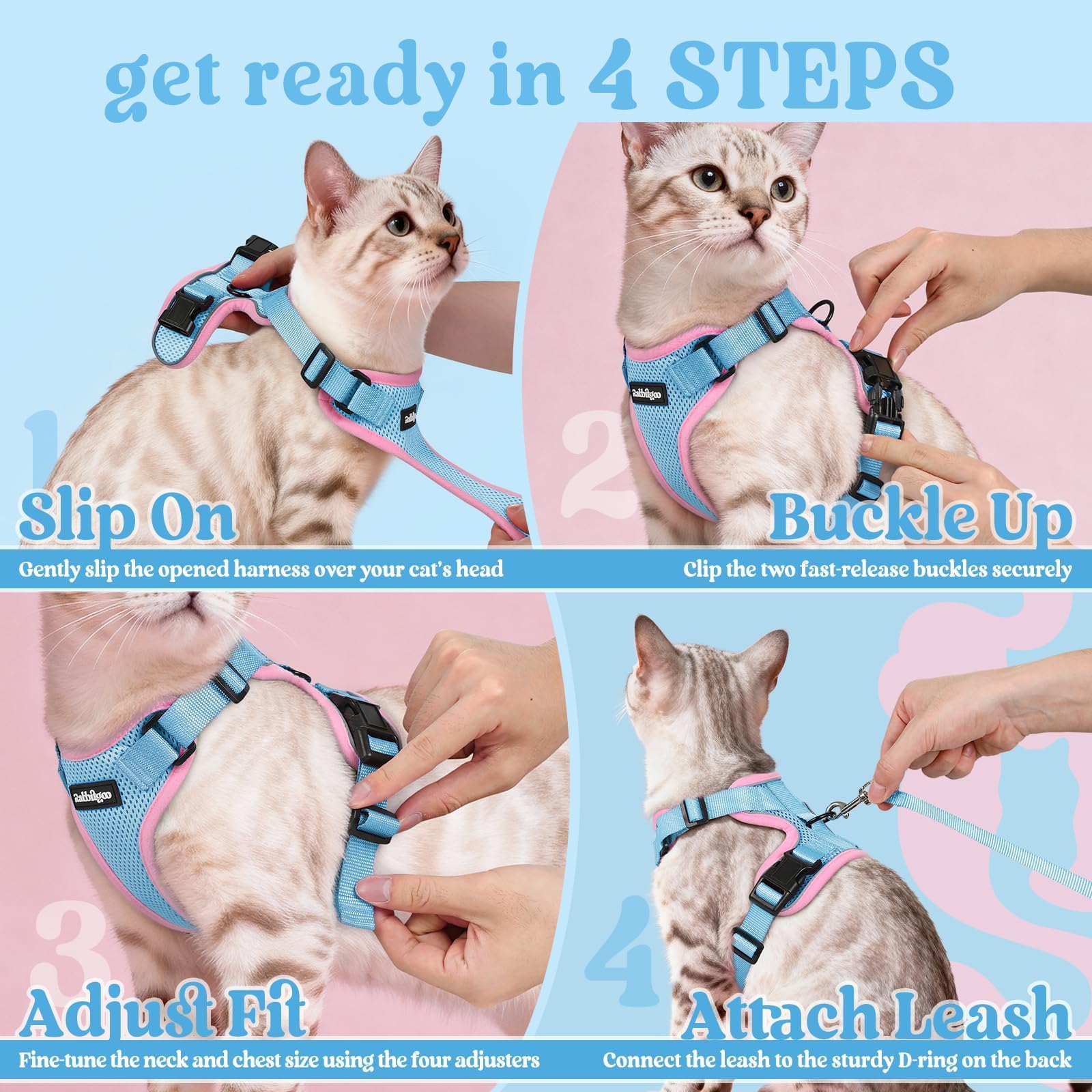 Utilisation intérieur et extérieur avec le harnais rabbitgoo pour chats