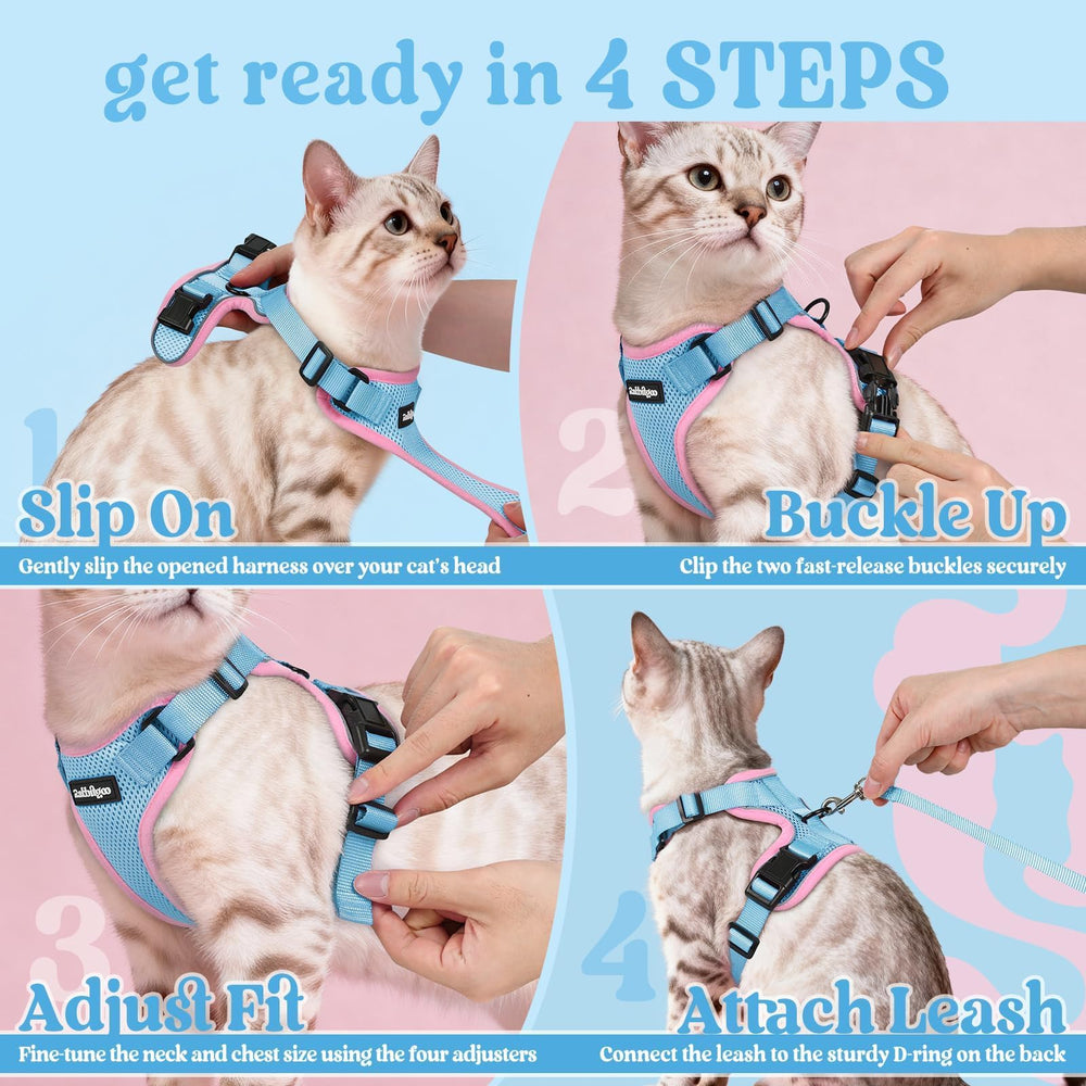 Utilisation intérieur et extérieur avec le harnais rabbitgoo pour chats