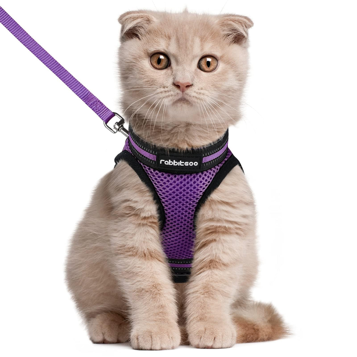 Harnais Rabbitgoo pour chat violet vu de dos, confort et ajustement sécurisant lors des promenades.