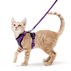 Harnais rabbitgoo pour chat violet, vue avant, sécurité et confort lors des sorties.