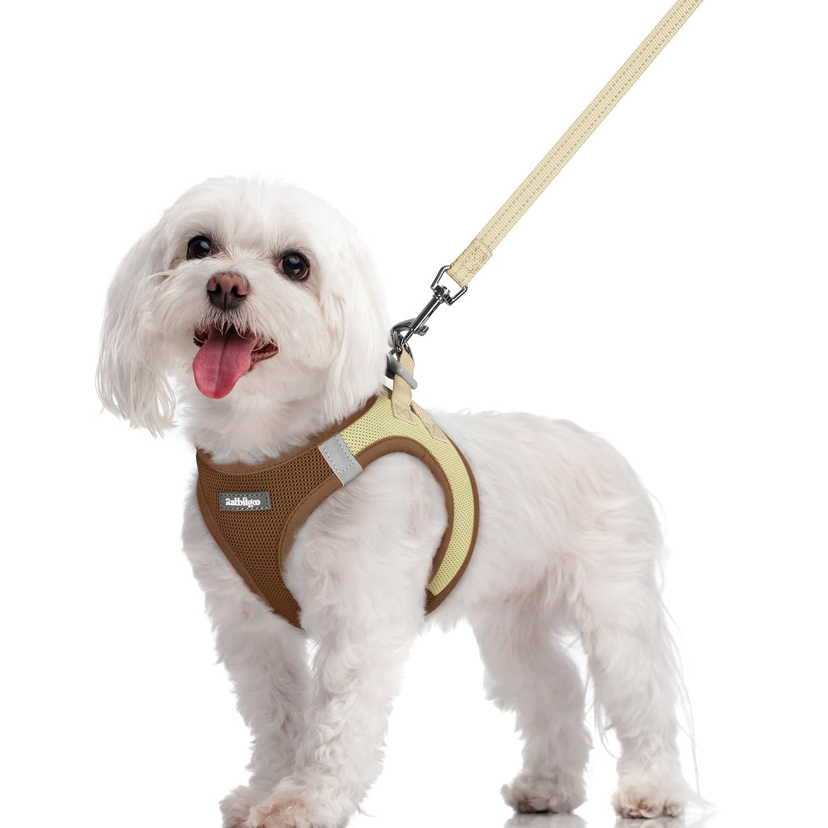 Harnais rabbitgoo pour chien à enfiler, pratique et confortable lors des promenades.